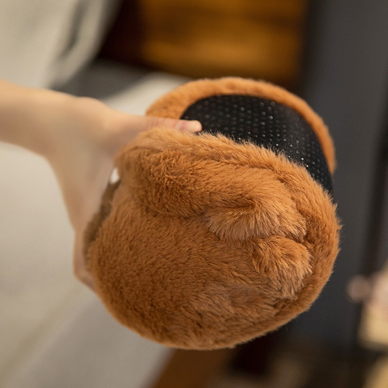 Pyjama Capybara Coral Fleece - Robe De Nuit à Capuche + Pantalon Mignon Et Moelleux Pour Maison