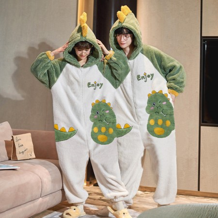 Combinaisons pour couples pyjama de dinosaure de dessin animé