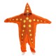 étoile de mer orange